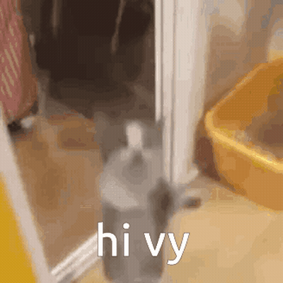 Cat Standing In Doorway Next To Litter Box Saying Hi Vy GIF