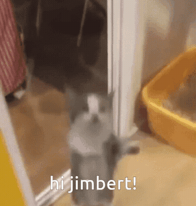 Cat Standing In Doorway Says Hi Jimbert GIF