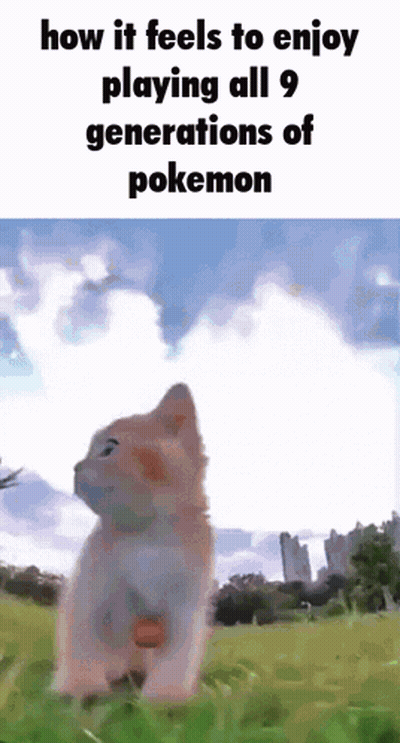 Cat Standing In Field Saying How It Feels To Enjoy Playing All 9 Generations Of Pokemon GIF