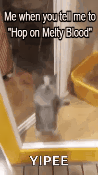 Cat Standing In Front Of Door Saying Me When Told To Hop GIF