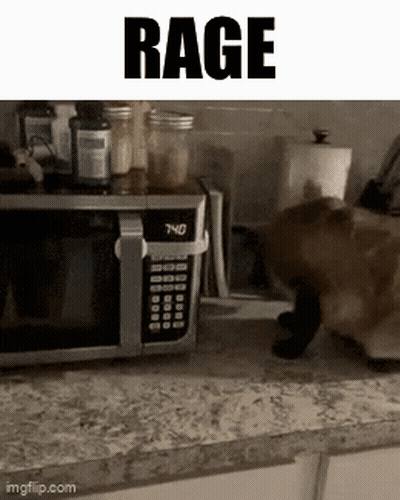 Cat Standing In Front Of Microwave Saying Rage GIF