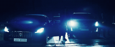 Cat Standing In Front Of Window Saying Luminor GIF