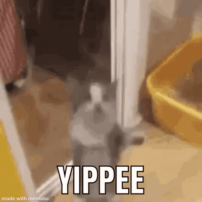 Cat Standing Near Yellow Bucket And Yippee Sign GIF