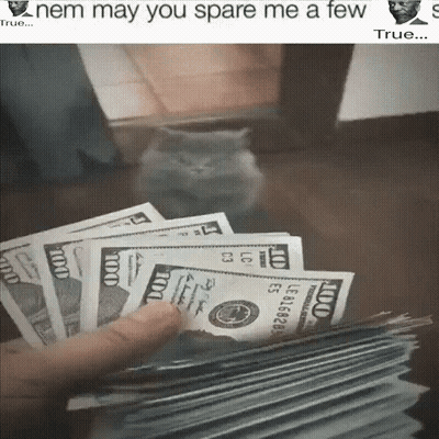 Cat Standing Next To Pile Of Money Saying Nem May You Spare Me A Few GIF
