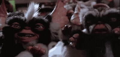 Cat Standing Next To Wooden Door GIF