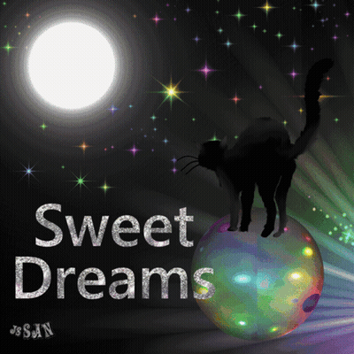 Cat Standing On Colorful Ball Sweet Dreams GIF