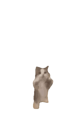 Cat Standing On Hind Legs Sticker