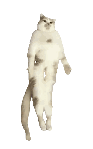 Cat Standing On Hind Legs Sticker