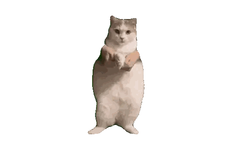 Cat Standing On Hind Legs Holding Something Sticker
