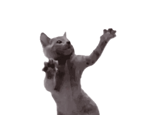 Cat Standing On Hind Legs Sticker