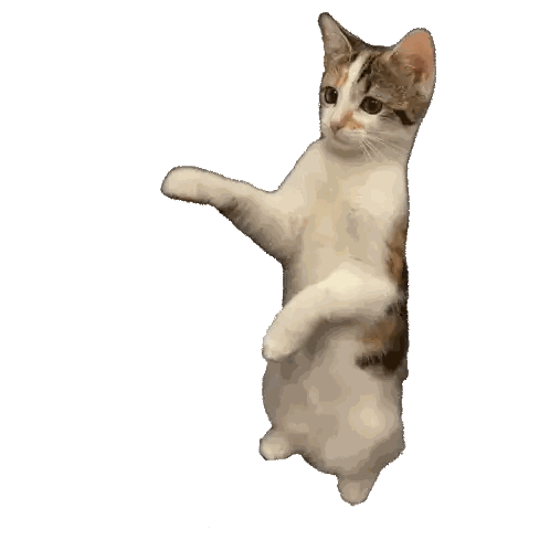 Cat Standing On Hind Legs Looking Sticker