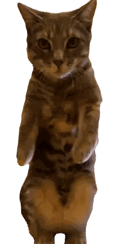 Cat Standing On Hind Legs Sticker