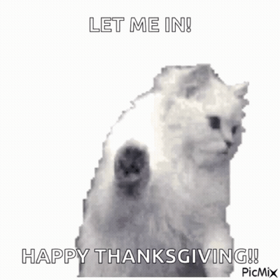 Cat Standing On Hind Legs Saying Let Me In Happy Thanksgiving GIF