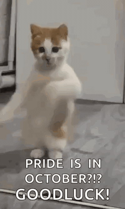 Cat Standing On Hind Legs Saying Pride Is In October GIF