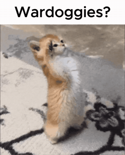 Cat Standing On Hind Legs Saying Wardoggies GIF