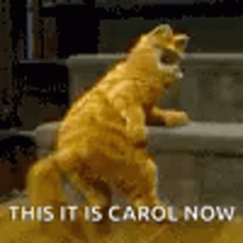 Cat Standing On Hind Legs With This It Is Carol Now GIF