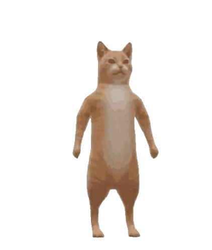 Cat Standing On Hind Legs Sticker