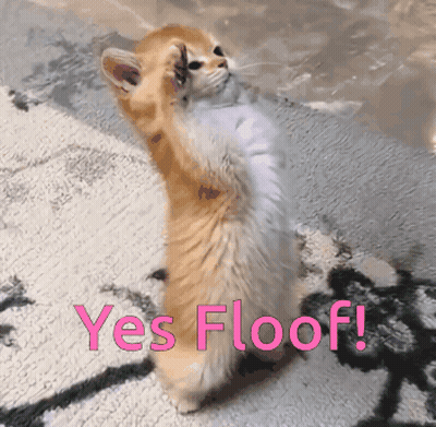 Cat Standing On Hind Legs Yes Floof GIF