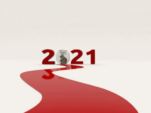 Cat Standing On Red Path In Front Of 2021 GIF