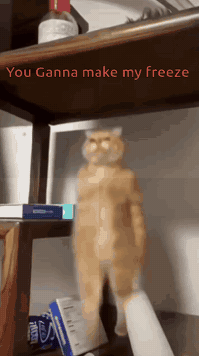 Cat Standing On Shelf Saying You Wanna Make My Freeze GIF