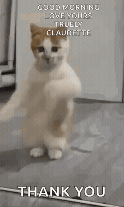 Cat Standing Paws Up Saying Good Morning Love Claudette GIF