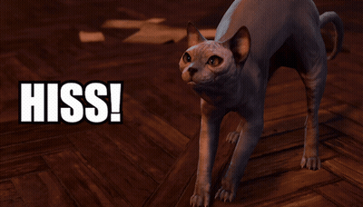 Cat Standing Saying I Say Hiss GIF
