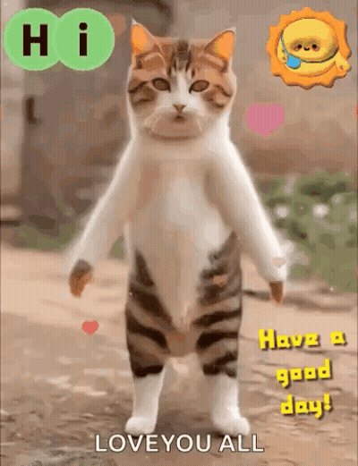 Cat Standing Saying Love You All GIF