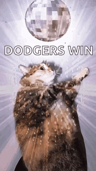 Cat Standing Under Disco Ball Dodgers Win GIF