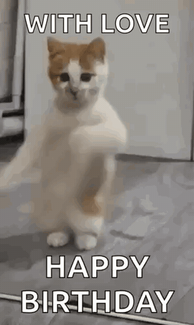 Cat Standing With Happy Birthday GIF