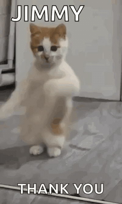 Cat Standing With Paws Up Saying Jimmy Thank You GIF