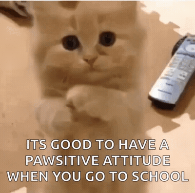 Cat Standing With Remote Saying It's Good To Have A Pawsitive Attitude GIF