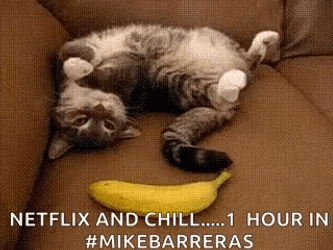 Cat Startled By A Banana Meme GIF