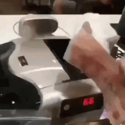 Cat Stealing Cash GIF