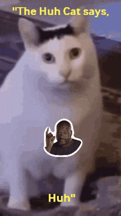 Cat Sticker Saying The Huh GIF