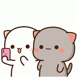 Cat Sticker Selfie GIF