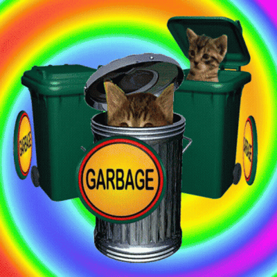 Cat Sticking Head Out Of Garbage Bin GIF