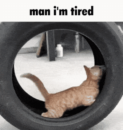 Cat Sticking Head Out Of Tire Man I'm Tired GIF