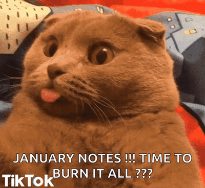 Cat Sticking Tongue Out January Notes Time To Burn It All GIF