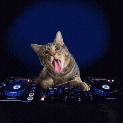 Cat Sticking Tongue Out On Pioneer DJ Mixer GIF