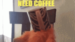 Cat Stuck In A Mug Need Coffee GIF