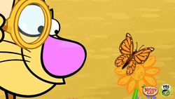 Cat Summer Chasing Butterflies GIF