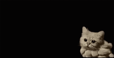 Cat Surrounded By Cloud Of Smoke GIF