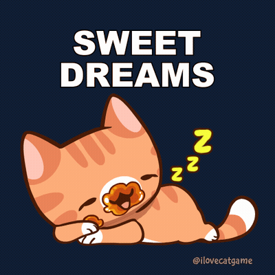 Cat Sweet Dreams GIF