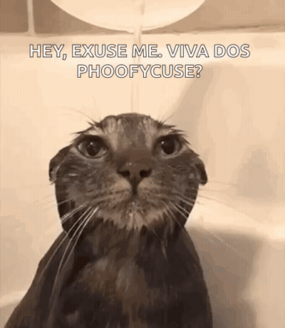Cat Taking Bath In Bathtub GIF