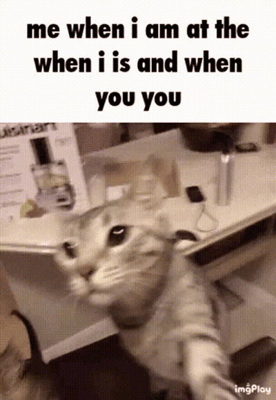 Cat Taking Selfie GIF