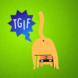 Cat Thank God Its Friday GIF