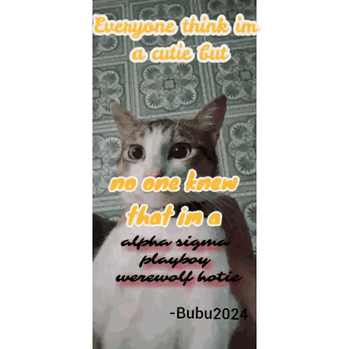 Cat Thinking Im A Cutie Sticker