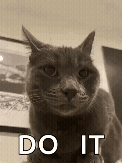 Cat Thumbs Up GIF