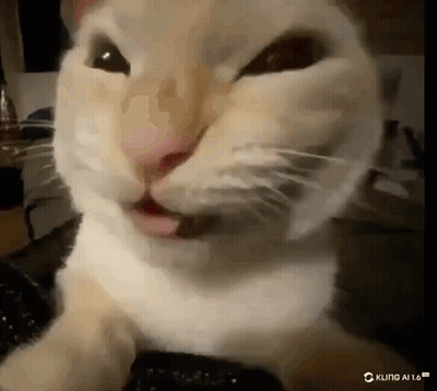 Cat Tongue Out Funny Face GIF