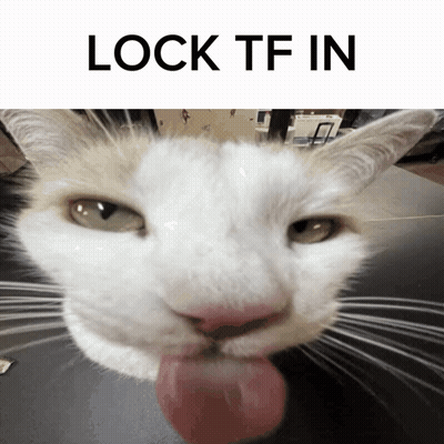 Cat Tongue Out Lock Tf In GIF